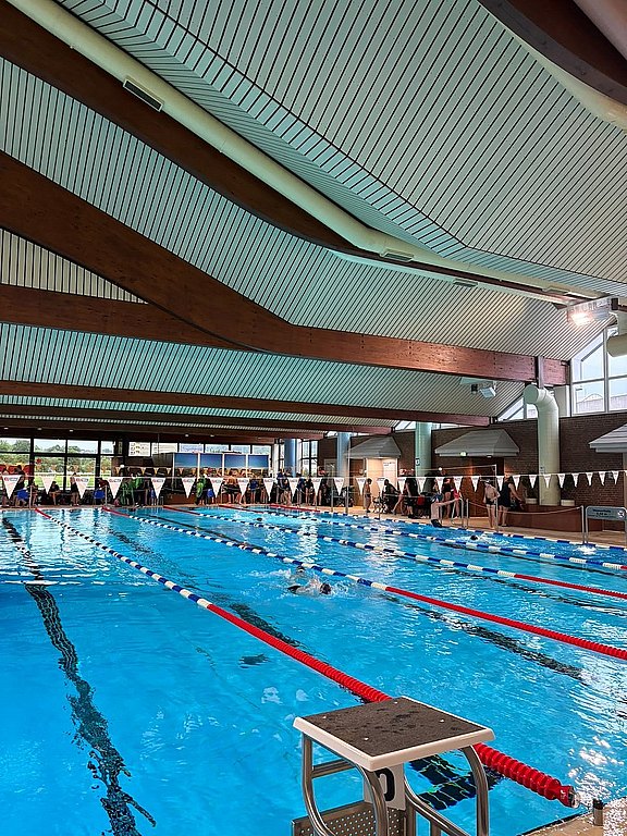 49._Schwimmtag_Marsberg_2026_5.jpg
